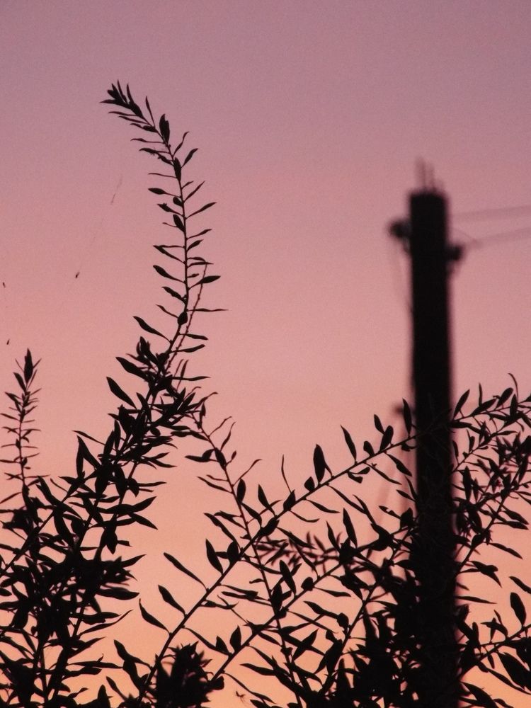 Photograph by Анастасия Селява