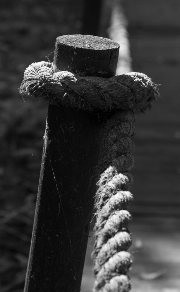 Photograph by Людмила Желтова