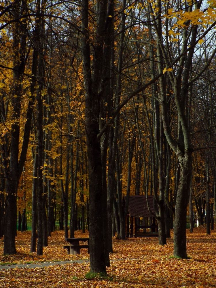 Photograph by Анастасия Селява