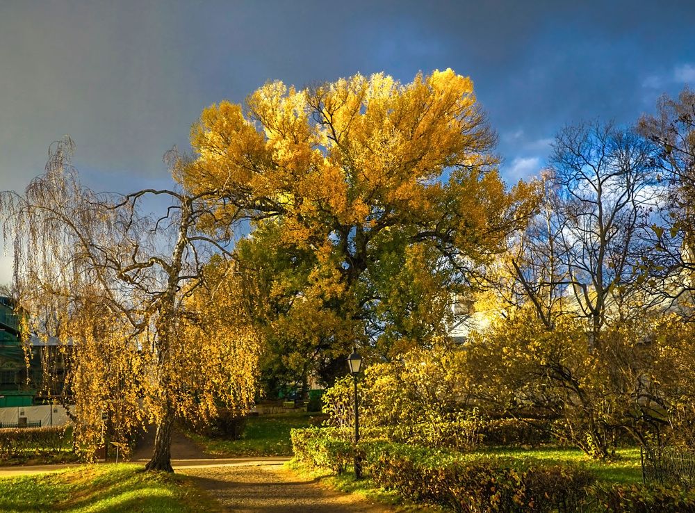 Золотая осень