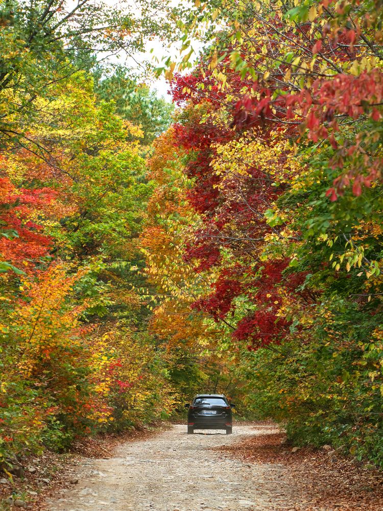 Photograph by Матвей Матвеев