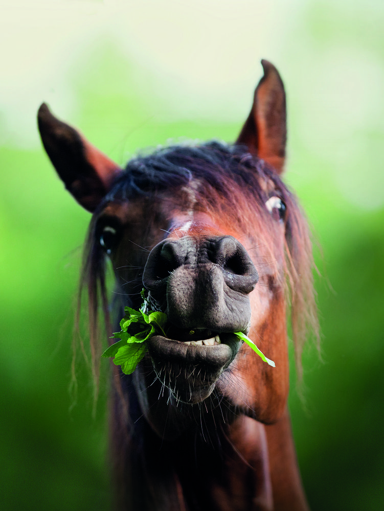 Photograph by Alexia Khruscheva