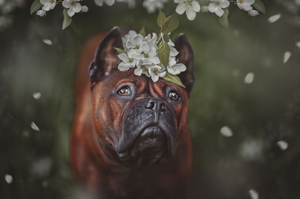 Photograph by Лысенкова Аксинья