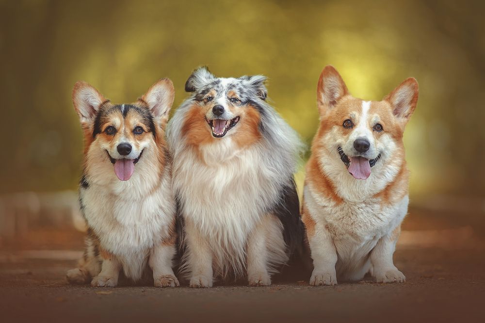 Photograph by Лысенкова Аксинья