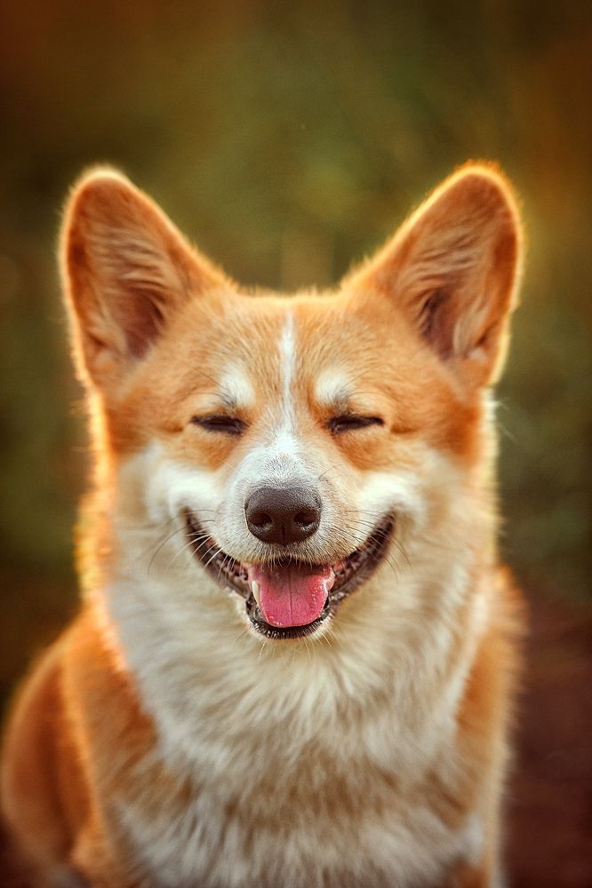 Photograph by Лысенкова Аксинья