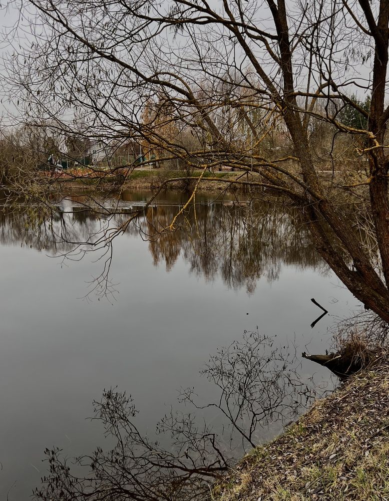 Photograph by Захарова Елена