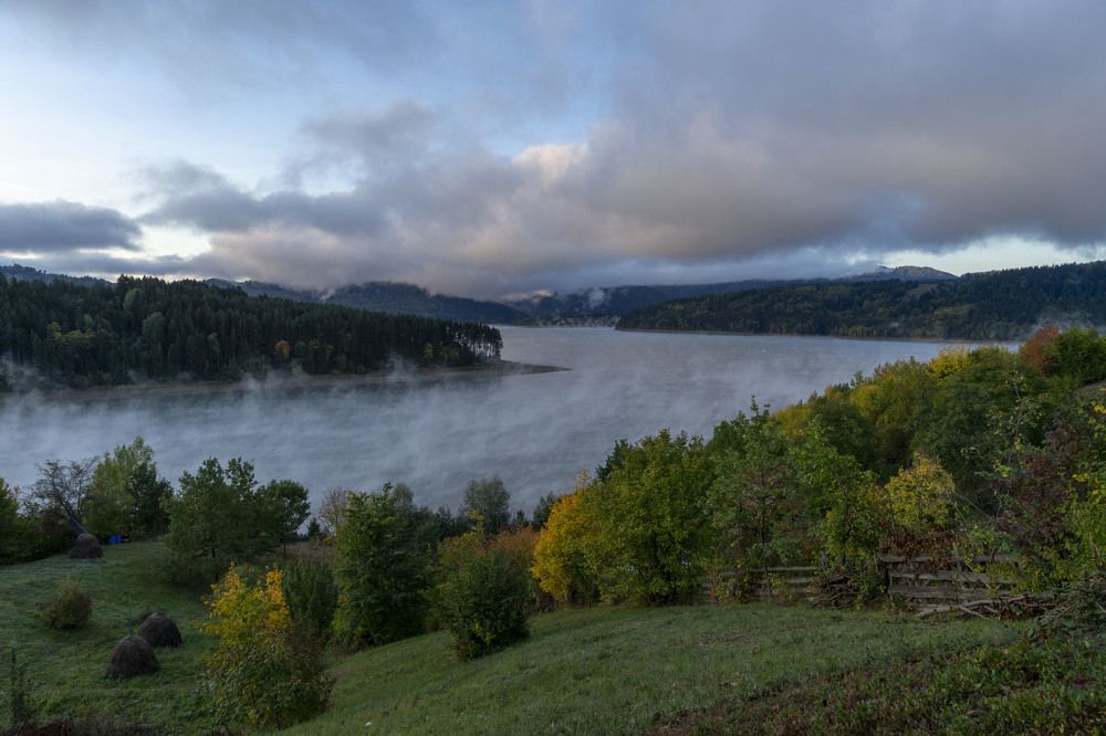 Фотография автора Ирина Зайцева