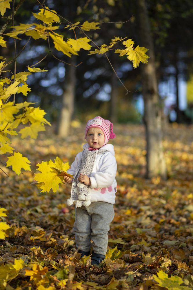 Photograph by Светлана Карнаух