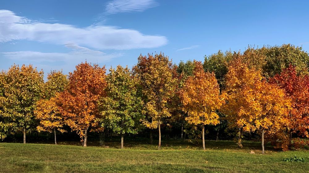 Photograph by Надежда Смирнова
