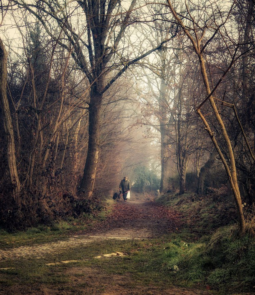 Photograph by Maria Cristina Artale