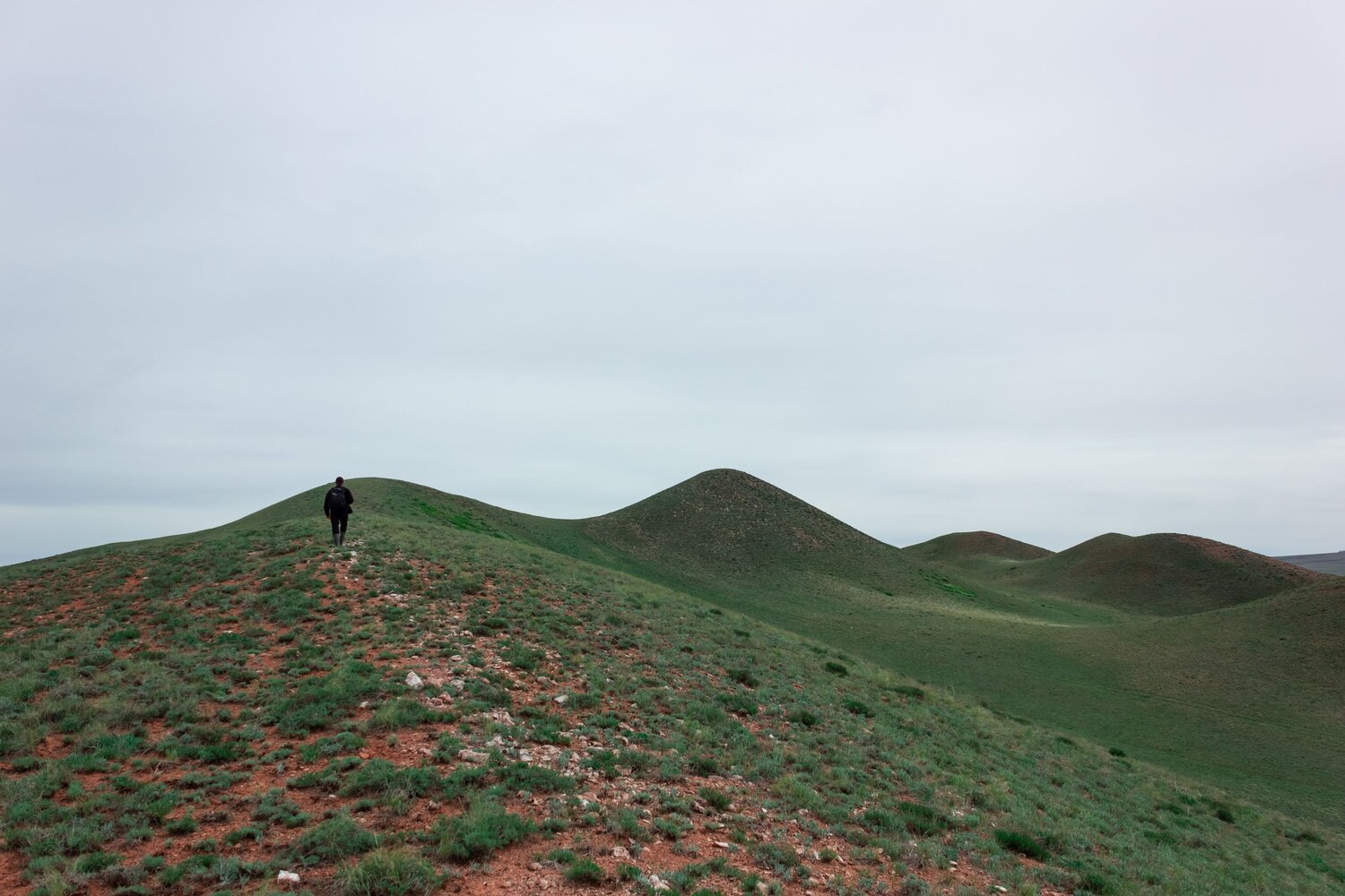 Photo #9681198