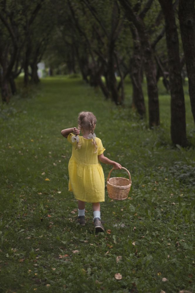 Собираем урожай яблок!