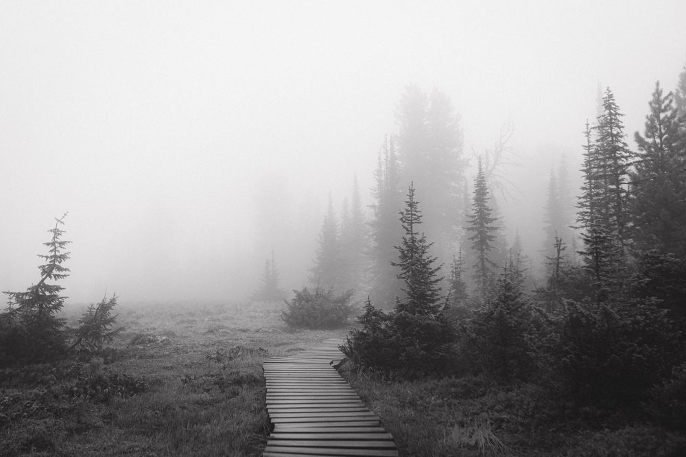 Фотография автора Анна Рыжкова