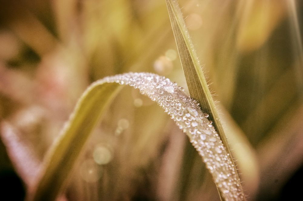 Photograph by Maria Cristina Artale