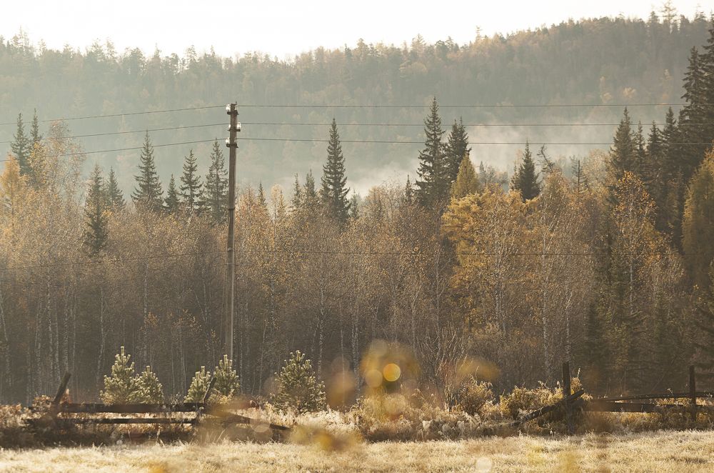 Фотография автора Лариса Кисурина