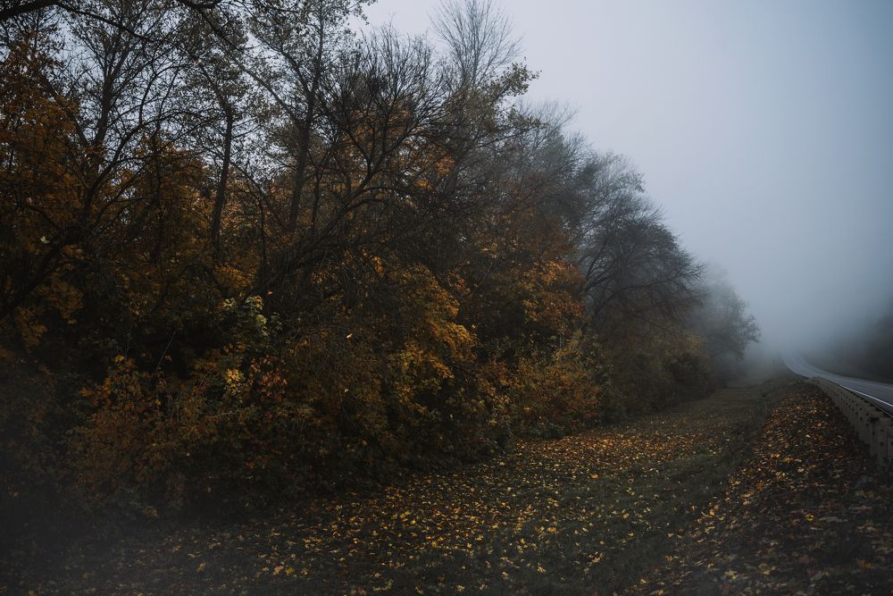 осень у дороги