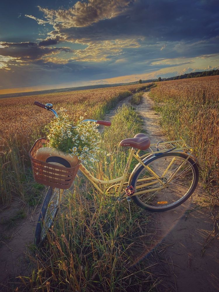 Photograph by Екатерина