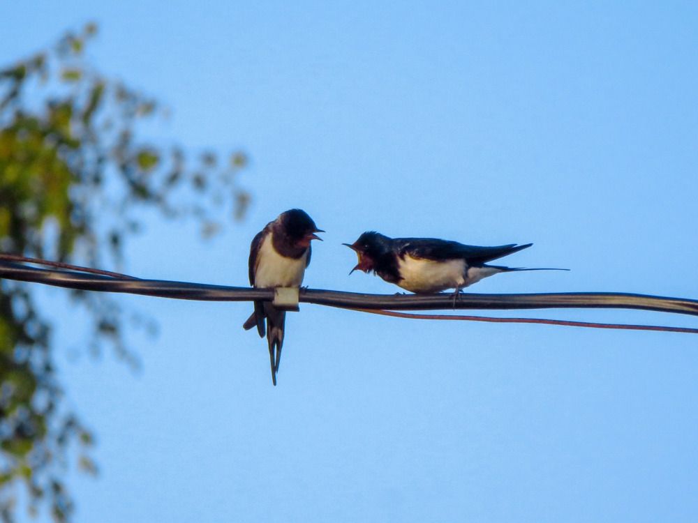 Photograph by Владимир Крылов