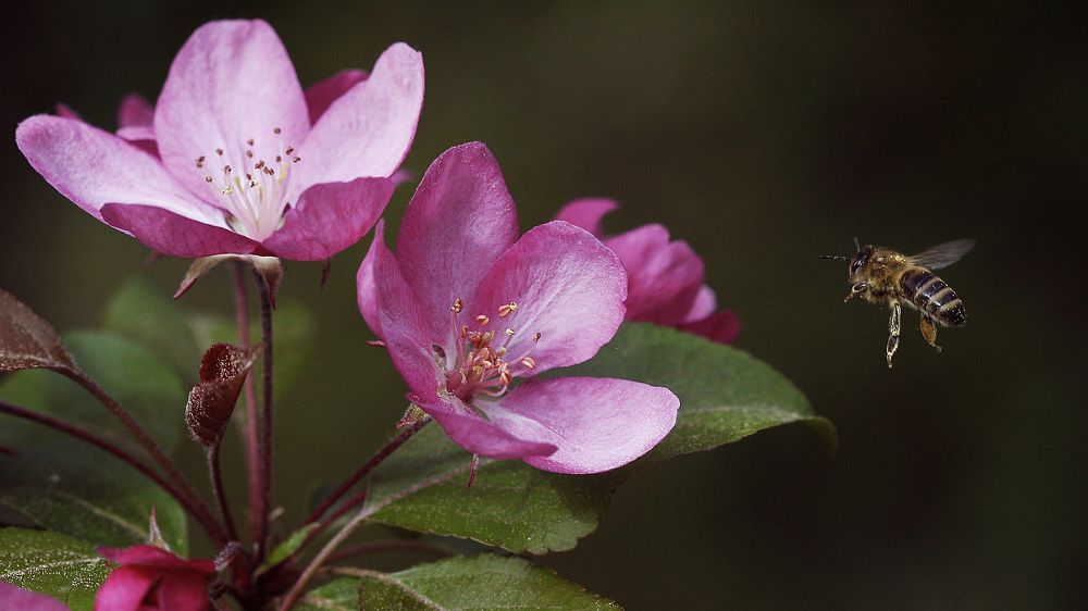 Photograph by Мороз Иван