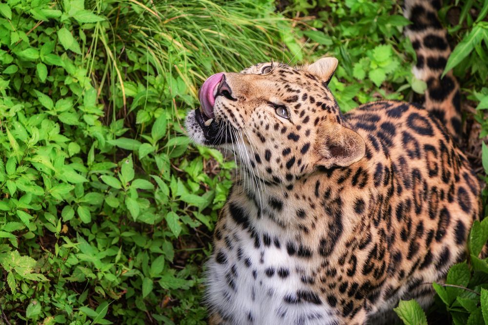 Photograph by Евгений Кучеренко