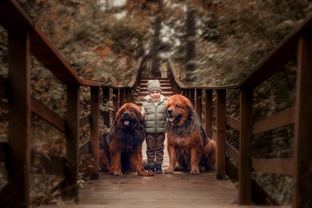 Photograph by Татьяна Гринева