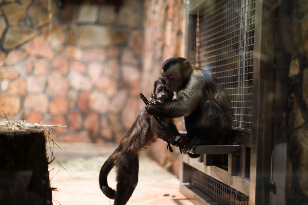 Photograph by Победина Lubov