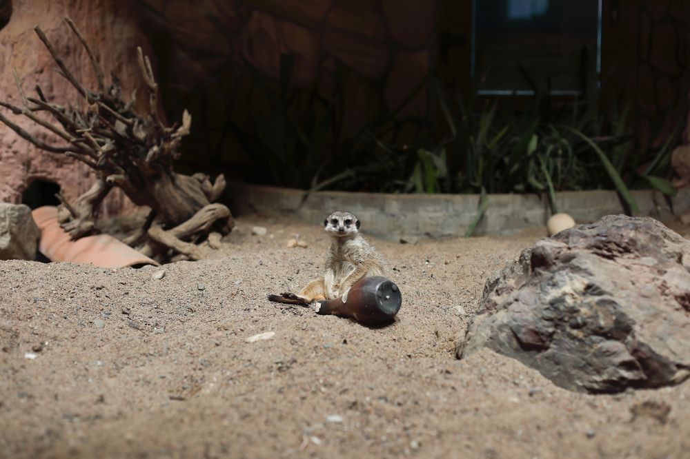 Photograph by Победина Lubov