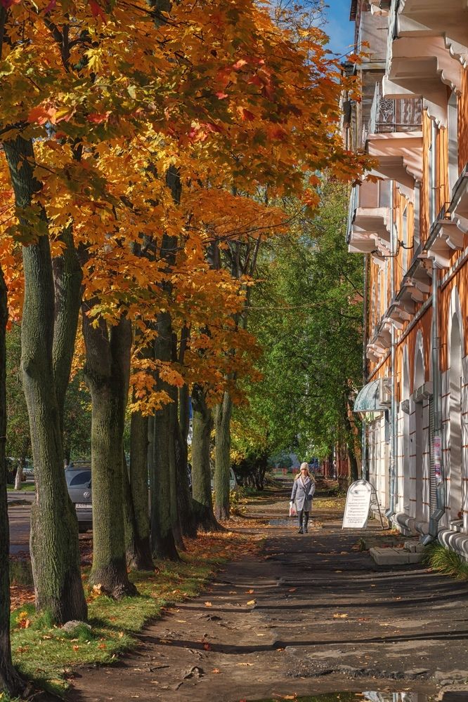 Photograph by Александр Колляков