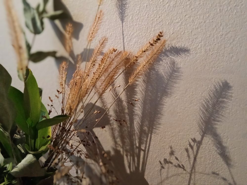 Photograph by Наталья Сорокина