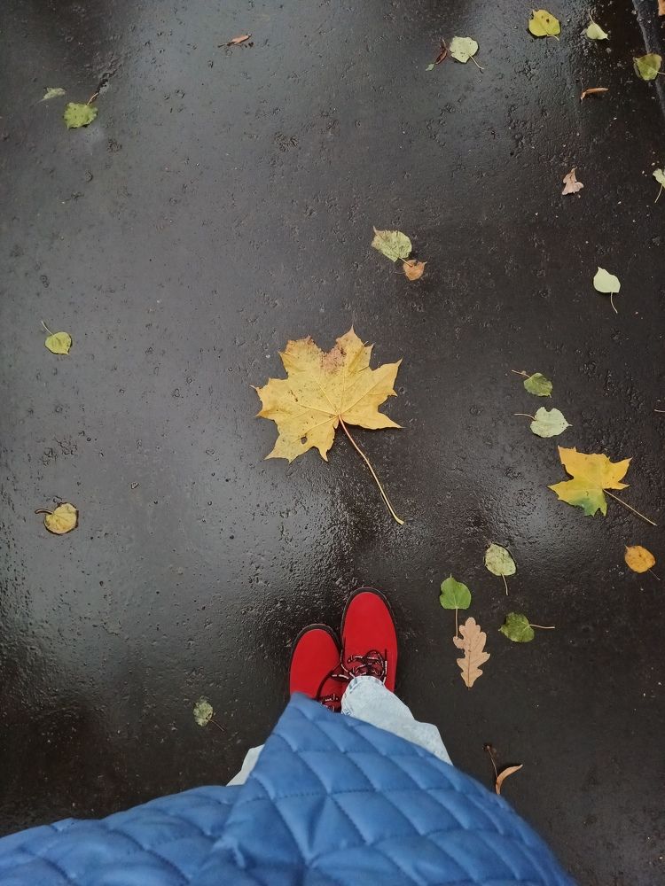 Photo #9681370