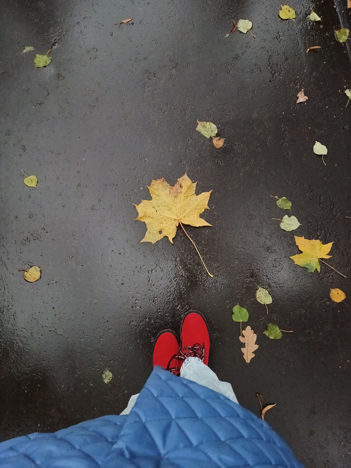 Photo #9681370
