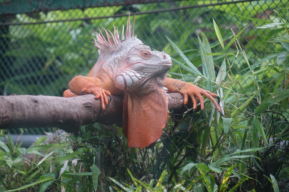 Photograph by Vy Van Bui