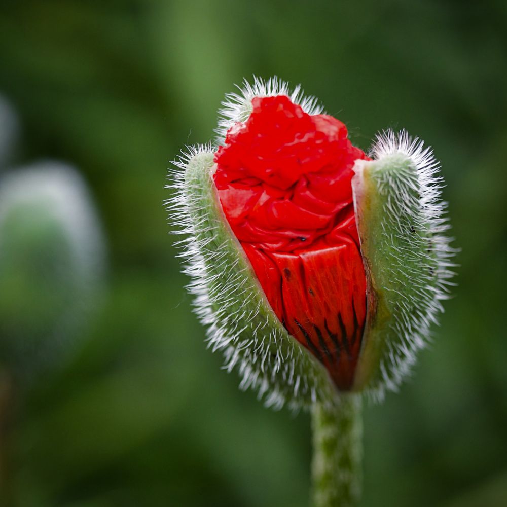 Photograph by Александр К