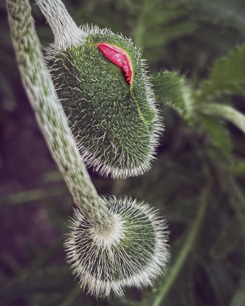 Photograph by Ольга Дорошенко