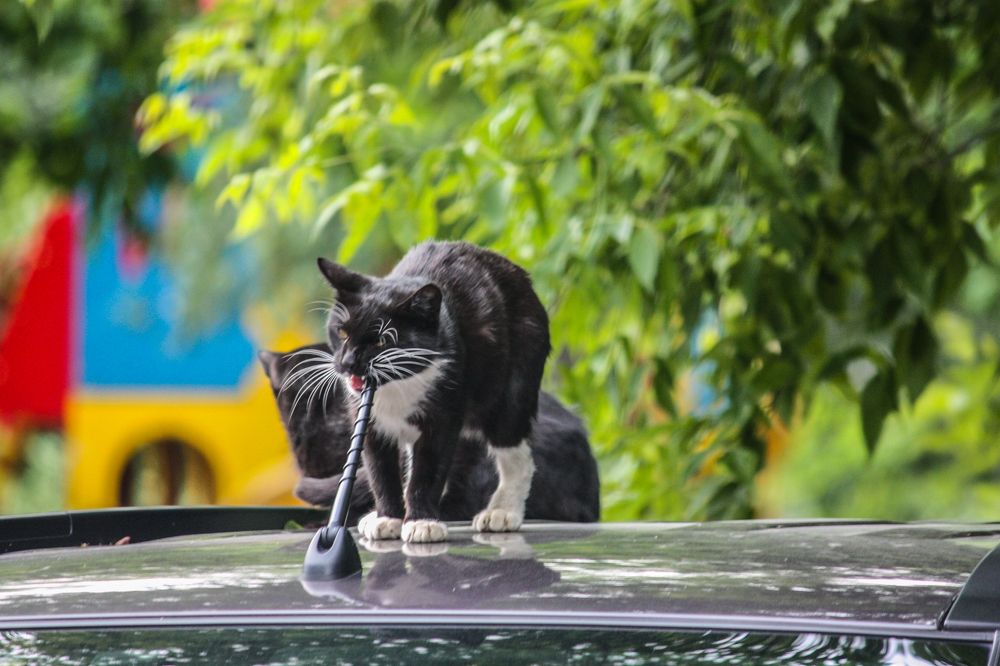 Photograph by Елена Шахова