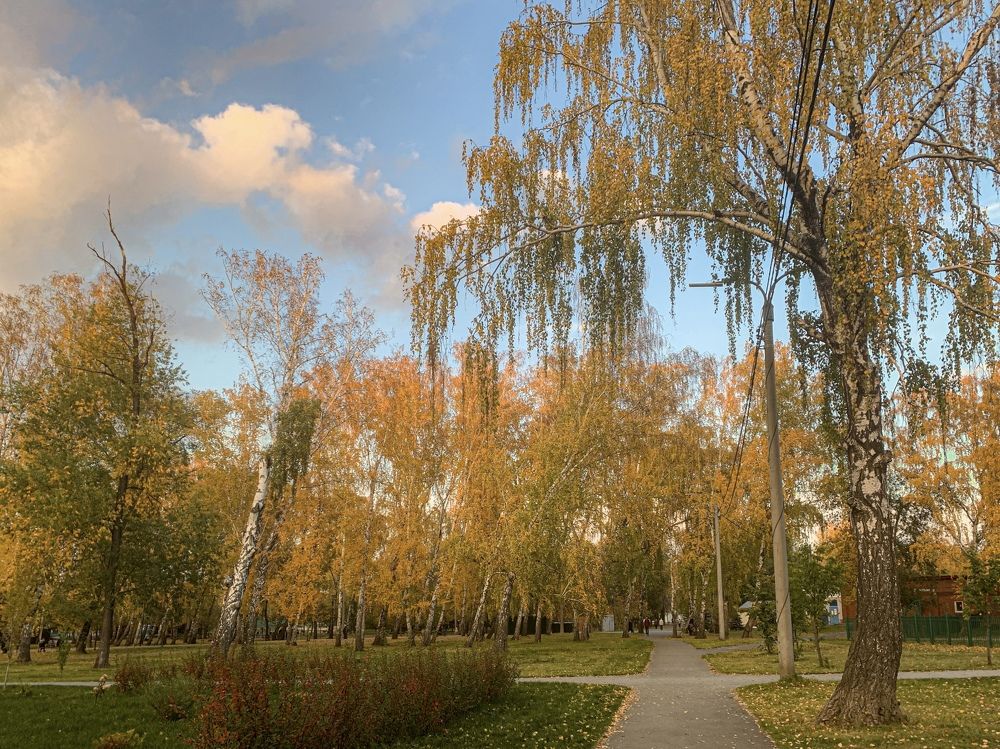 Photograph by Анна Потапова