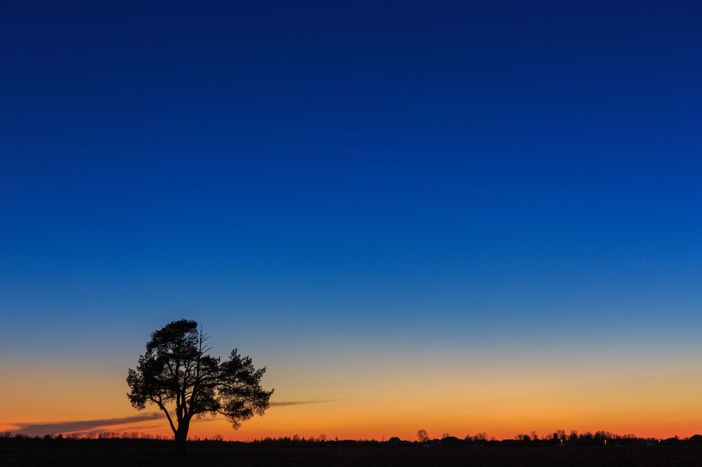 Photograph by Александр Литвинов