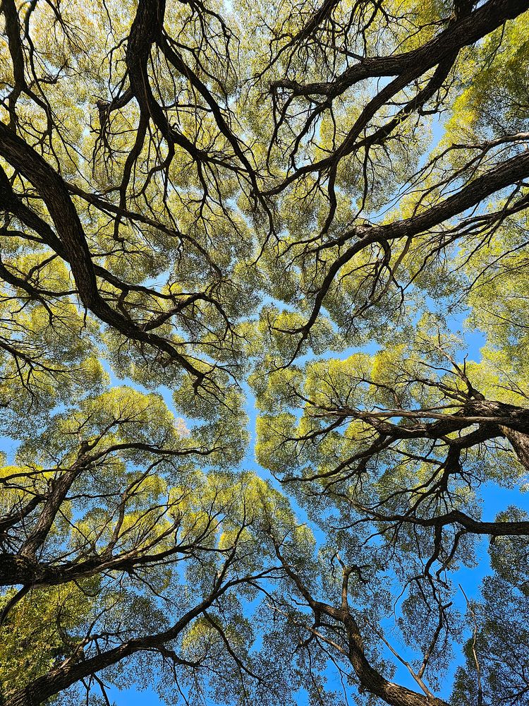 Photograph by Сергей Кесаев