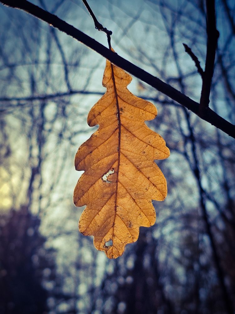 Photograph by Сергей Кесаев