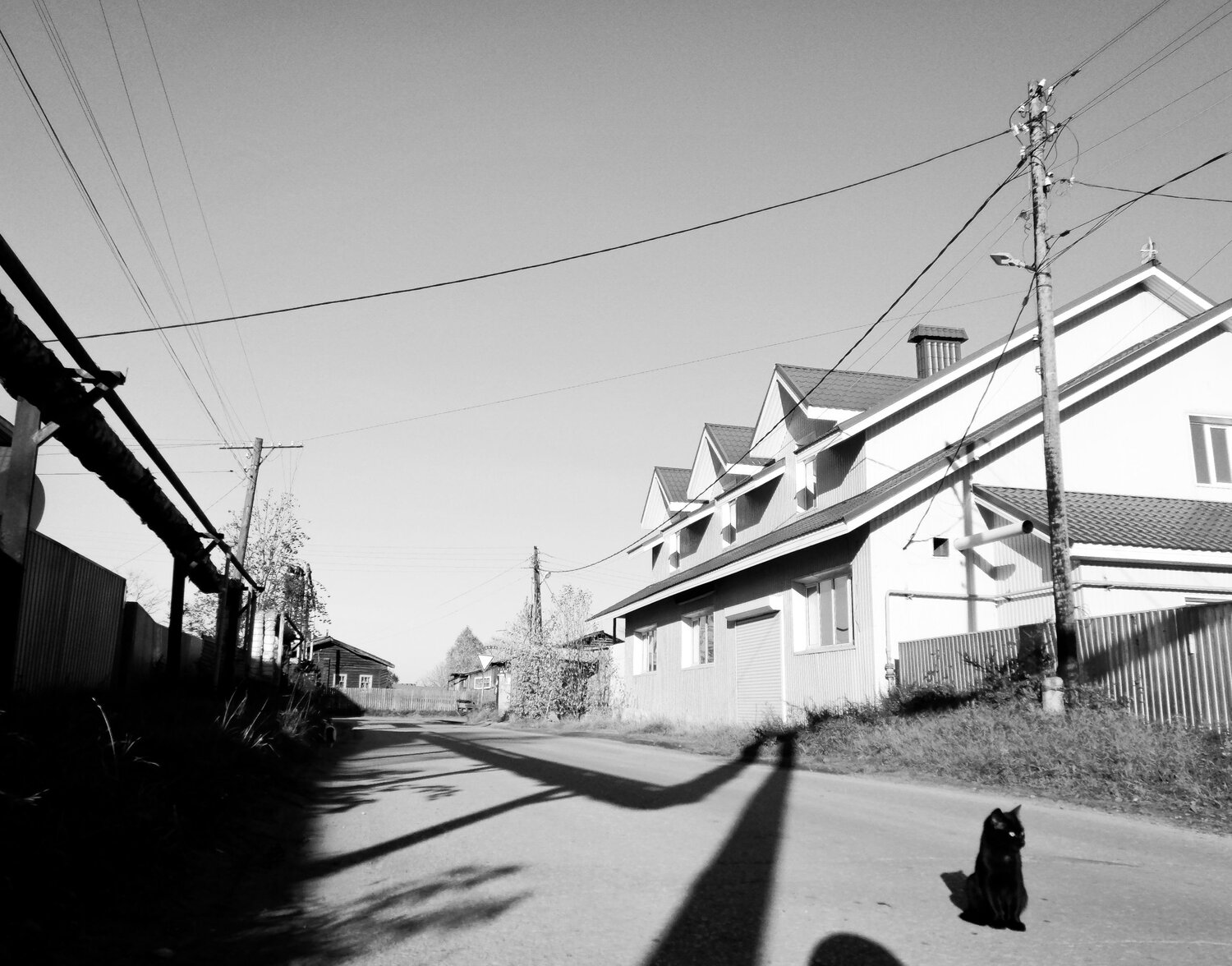Photo #9681459