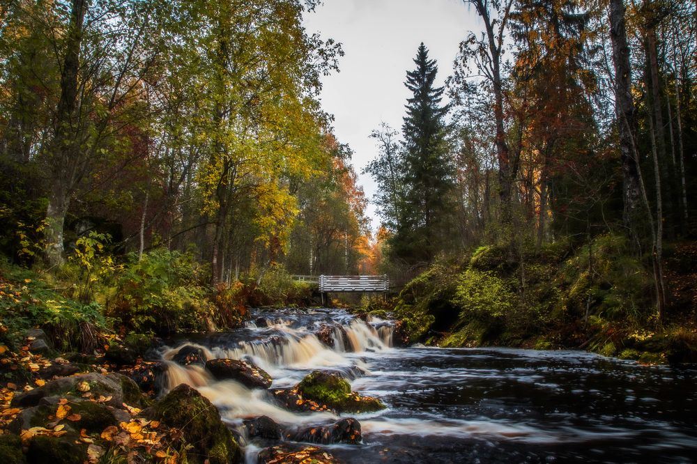 Photograph by Татьяна Кормашова