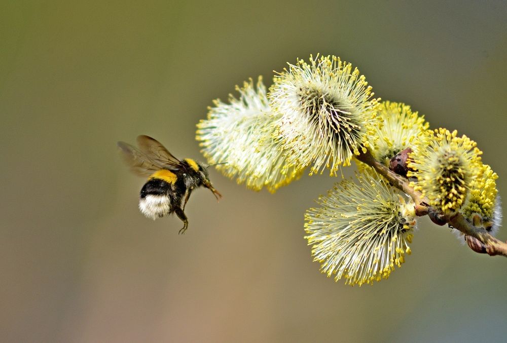 Photograph by Алексей Козлов