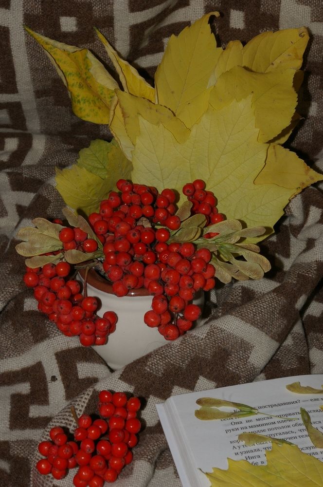 Photograph by Елена Алешкевич