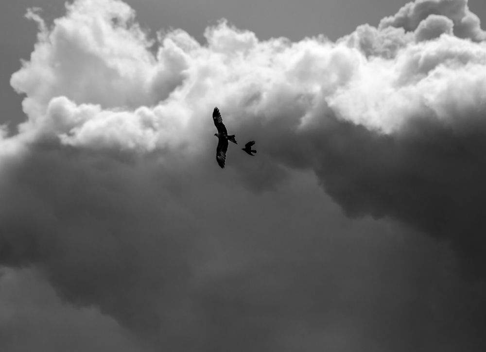 Фотография автора Александр Дюльгер