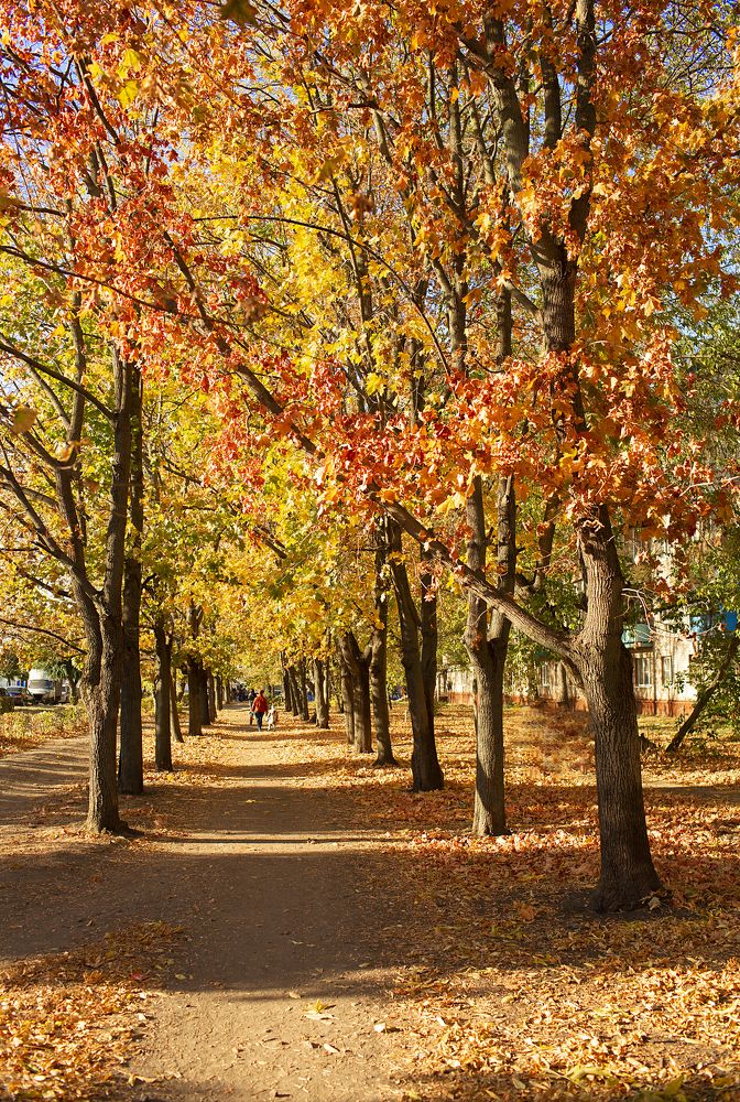 Photograph by Алена Полетаева