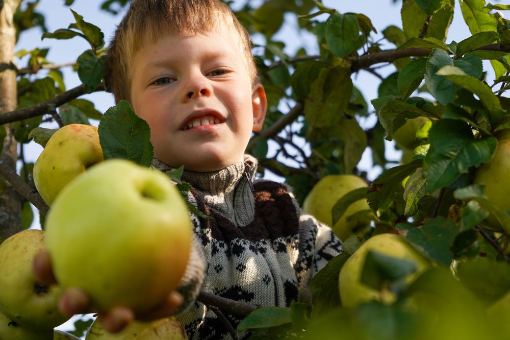 Photograph by Елена Копейкина