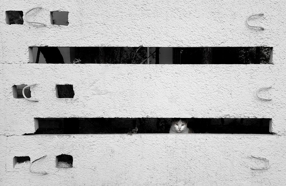 Photograph by Mina Mamdouhi