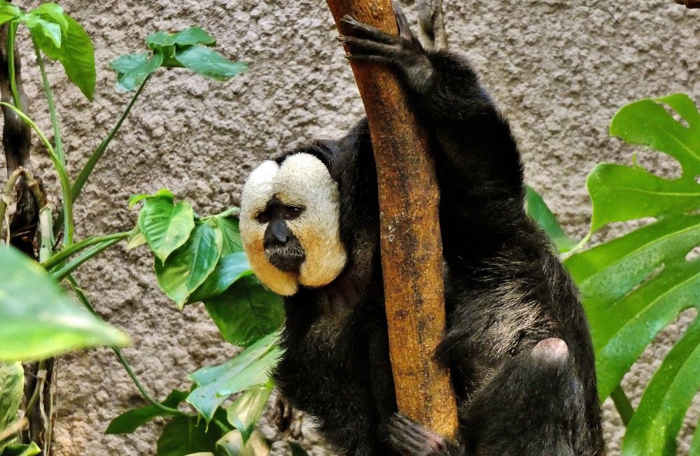 Photograph by backareva irina