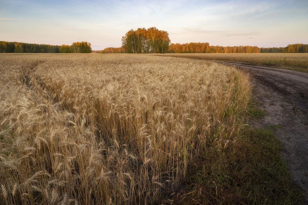 Фотография автора Татьяна Добровольская