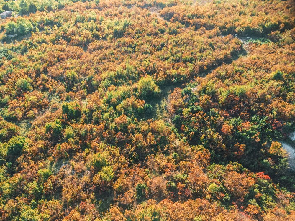 Фотография автора Belmin Becirspahic